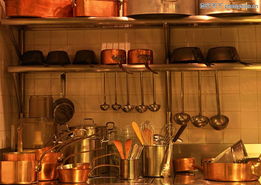 廚房中的好幫手 廚具與衛(wèi)具的選購(gòu)與保養(yǎng)指南